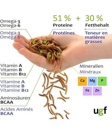 UGF Premium Dried Mealworms 1kg - Healthy Insect Snacks for Birds Reptiles & Small Pets - No Preservatives or Dyes - Buy Online on GoSupps.com