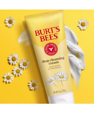 Burt's Bees Face Wash Deep Facial Cleansing Cream College Back to School Dorm Essentials All Natural Cleanser with Chamomile 6 Ounce (Pack of 3) (Packaging May Vary) - Buy Online on GoSupps.com