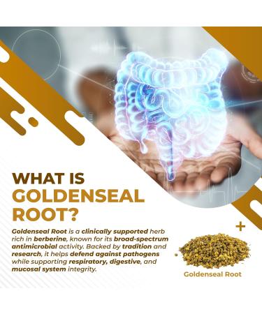 Goldenseal Root 8-in-1 Formula - with Cinnamon Ginger Echinacea Elderberry Black Pepper Vitamin D3 - Non-GMO Gluten-Free Soy-Free 150 count (pack of 1) - Buy Online on GoSupps.com