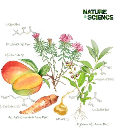 Herbal Diet Drops | African Mango & Amino Acid Complex | HCG & Hormone Free | Made in USA - International Shipping - Buy Online on GoSupps.com