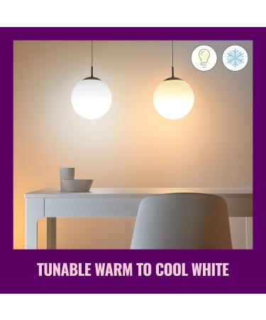 WiZ Connected Tunable White A19 Smart WiFi Light Bulb Dimmable 2700K - 6500K Smart Control with WiZ App Compatible with Alexa Google Assistant and Siri Shortcuts No Hub Required 1 Bulb A19 Tunable White 1 Count (Pack of 1) - Buy Online on GoSupps.com