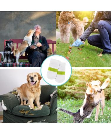 20 PCS Dog Shoes Dog Boots for Injured Paws Waterproof Dog Socks Outdoor Dog Rain Boots Waterproof and Dustproof Pet Dog Shoe Covers Dog Socks Paws Stop Licking for Dog Cat Pets(M) - Buy Online on GoSupps.com