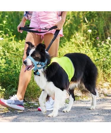 Weesiber Soft Dog Collar - Adjustable Padded Halter with Reflective Safety Strips for Small Dogs | No Pulling Perfect for Training & Walking (Blue) - Buy Online on GoSupps.com