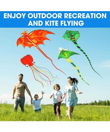 4 Pack Large Fire Dragon, Green Snake, Devil Fish, Red Mollusc Octopus Kites for Outdoor Fun - Perfect for Kids and Adults - Buy Online on GoSupps.com