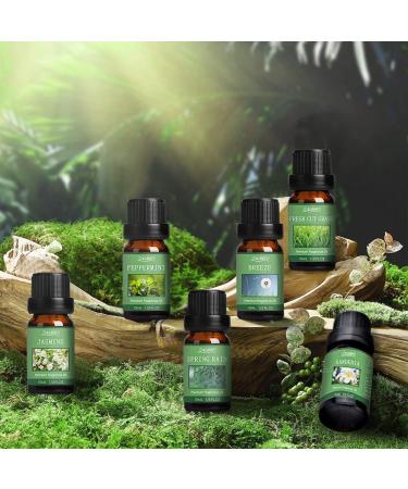 Spring Essential Oils Set for Aromatherapy and Candle Making - Gardenia, Jasmine, Peppermint, Fresh Cut Grass, Spring Rain Breeze Scent Oil - Buy Online on GoSupps.com