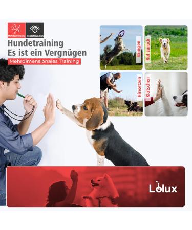 LIOLUX Dog Whistles with Klicker & Lanyard - Professional Training Pipe for Dogs | Loud & Clear R tter Call in Kaitoke Gr n/Schwarz - Buy Online on GoSupps.com