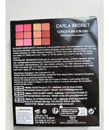 Palette de 12 couleurs d'anticernes et de fards joues longue tenue r sistante aux bavures estompable 2 en 1 fards joues en cr me au fini mat Palette de maquillage pour le visage (#02) #12-2 - Buy Online on GoSupps.com