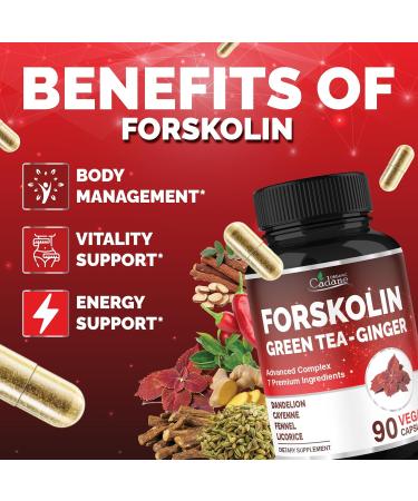 Cadane Forskolin Supplement with Green Tea Ginger Dandelion Cayenne Fennel and Licorice| Body Management & Energy Support | Vegan Non-GMO 90 Capsules 45-Day Supply - Buy Online on GoSupps.com