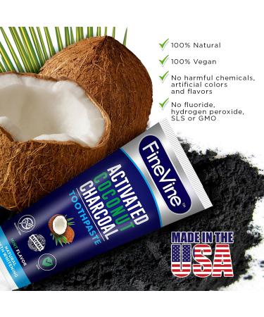Organic Vegan Coconut Charcoal Toothpaste for Healthy Gums & Pearly Whites - Made in USA - Buy Online on GoSupps.com