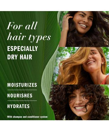 Herbal Essences Pure Plants Honey Daily Moisture Sulfate Free Shampoo 600 mL for All Hair Types specially Dry Hair Shampoo 600 ml (Pack of 1) - Buy Online on GoSupps.com