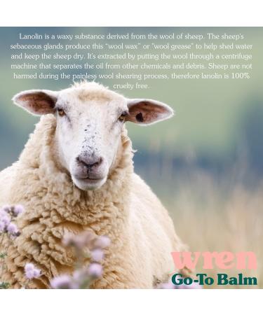 Wren Nappy Ointment | Pure Lanolin Oil from New Zealand | Cracked Nipple Relief Balm | Nappy Rash Dry Skin | Organic & Natural | Baby Safe | 3 Sizes Available - Buy Online on GoSupps.com