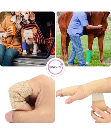 12 Roles Self-Adhesive Bandage | Cohesive Elastic Bandages for First Aid & Pet Care - 5cm x 4.5m | 12PCs - Buy Online on GoSupps.com