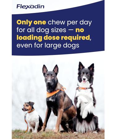 Vetoquinol Flexadin Complementary food for dogs ideal for supporting joint metabolism - Flexadin Adult Dog 60 attractive tablets - 180 g - Buy Online on GoSupps.com