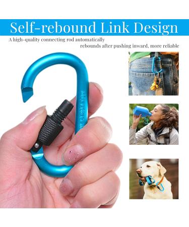 10-Pack Screw Carabiner Keychain Hooks for Camping Fishing Hiking & Travel - Durable Outdoor Gear - Buy Online on GoSupps.com