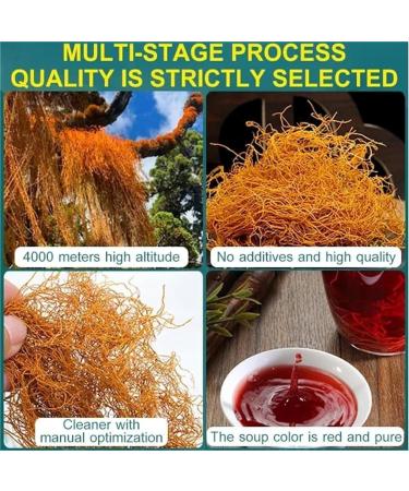 Golden Silk Red Snow Tea Senusto Red Snow Tea Natural Red Snow Tea 50g/Bag Precious Highland Wildlife Red Snow Tea Unique Chinese Tea (2 Box) - Buy Online on GoSupps.com