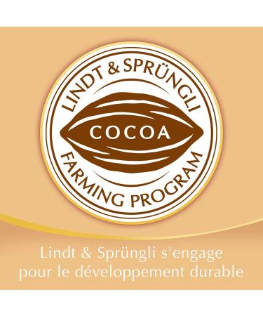 Lindt - Lindor Cornet Assorted Christmas Edition - 200g Pack of 2 - Buy Online on GoSupps.com