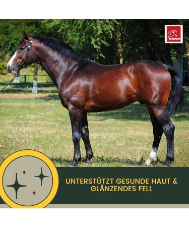 Soybean meal horse I Dietary supplement for musculature skeleton vitality I Amino acids horses Muscle muscle Soy protein I Vitamin BE complex Zinc Biotin Selenium horse 6 kg - Buy Online on GoSupps.com