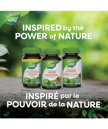 Nature's Way Vitex Chasteberry Herbal Supplement to Help Relieve PMS Symptoms Normalize Hormones and Stabilize Menstrual Cycle Irregularities Non-GMO - 320 Vegetarian Capsules Value Size - Buy Online on GoSupps.com