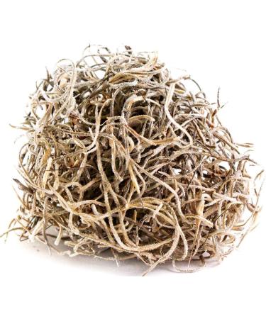 Preserved Natural Spanish Moss - 8oz (200 cubic inches) Bag - Buy Online on GoSupps.com