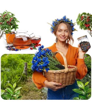 Aromantra x Mary Rose Th Signe du Zodiaque G meaux 50g - Th Noir Assam Goji Guarana Rooibos Ginkgo Biloba & Orange M lange nergisant & quilibrant - Buy Online on GoSupps.com
