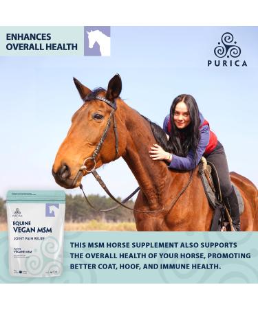 PURICA Equine Vegan MSM Powder - Pure & Organic Horse Supplement for Joint Support 1kg 1 kg (Pack of 1) - Buy Online on GoSupps.com