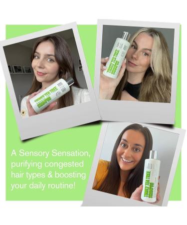 Purple Hair Mask & Tea Tree Shampoo with Coconut Hair Mask Bundle - For Blonde, Platinum, Bleached, Silver, Gray, Ash & Brassy Hair - Paraben & Sulfate Free - Cruelty-Free & Vegan - Buy Online on GoSupps.com