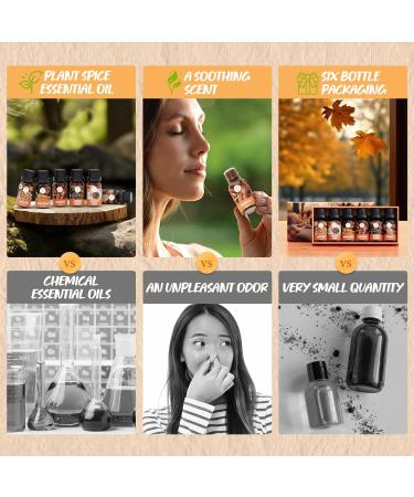 SoulOrigin Autumn Essential Oils Set Fragrance Oil Gift Set for Oil Diffusers for Home Soap Candle Making Scents 6x10ml - Pumpkin Spice Nutmeg Apple Pie Autumn Harvest Cinnamon and Maple Syrup - Buy Online on GoSupps.com