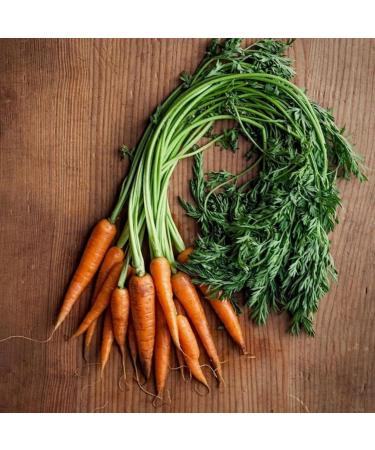 James White - British Carrot Juice - 750ml - Buy Online on GoSupps.com