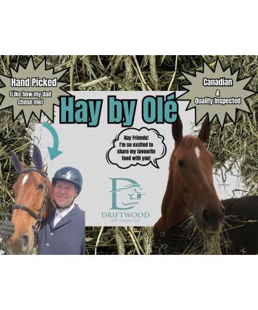 Hay by Ol 2nd Cut Timothy Hay 5lb Box for Small Pets