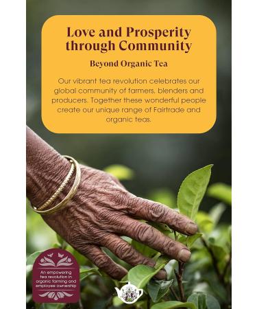 English Tea Shop Organic Wellness Collection - 12 Loose Leaf Pyramid Tea Bags - Buy Online on GoSupps.com