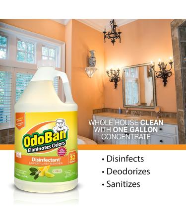 OdoBan Disinfectant Concentrate & Odor Eliminator - 1 Gallon Citrus Scent | Effective International Shipping - Buy Online on GoSupps.com