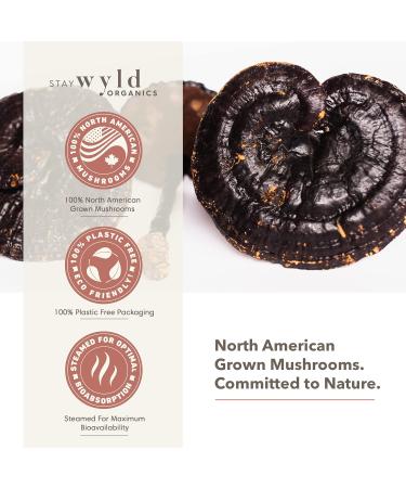 Stay Wyld - Organic Reishi Mushroom Supplement Capsules - Natural Mood and Mental Support - Mushroom Supplement For Mental Wellness and Calm - 100% Canadian Grown - 60 Capsules - Buy Online on GoSupps.com