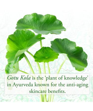 SUND RI Gotu Kola & Kukui Body Lotion - Nourishing & Hydrating | International Shipping Available - Buy Online on GoSupps.com