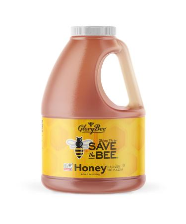 GloryBee Pure Clover Blend Honey, 100% US Grade A, Portion of Sales is Donated to Save The Bee, Family Owned, Sweeten Dishes & Beverages, 5 lb, 80 Oz