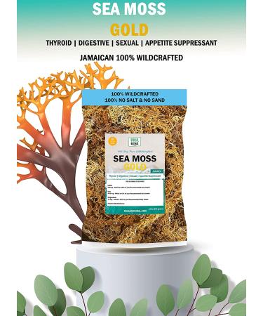 DualSpices Sea Moss Gold 16 Oz - Wildcrafted from Jamaica, Non-GMO Vegan Superfood - No Salt, Sand, Chemicals, Preservatives - 1lb Raw Fresh Harvested from Caribbean Sea - Buy Online on GoSupps.com