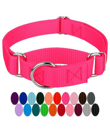 Country Brook Petz - Martingale Heavyduty Nylon Dog Collar Medium (Pack of 1) Hot Pink