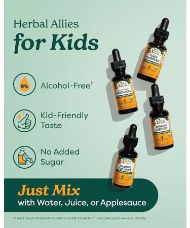 Herb Pharm Kids Certified-Organic Alcohol-Free Cough Crusader Liquid Herbal Formula 4 Ounce - Buy Online on GoSupps.com