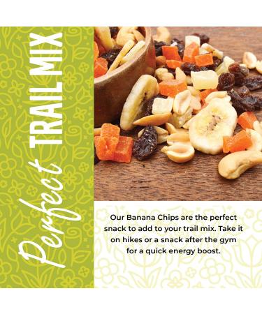 Dried Unsweetened Banana Chips Bulk - 1 lb | Dehydrated Banana Slices, Crisps | All Natural, Non-GMO - 16 oz - Buy Online on GoSupps.com