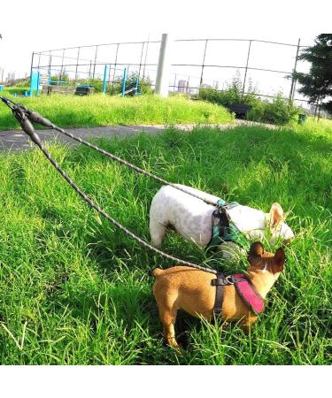 Taglory Double Linen for Dogs - Reflective Climbing Rope Adjustable Safety Leash (75cm Orange) - Perfect for 2 Dogs | International Shipping Available - Buy Online on GoSupps.com