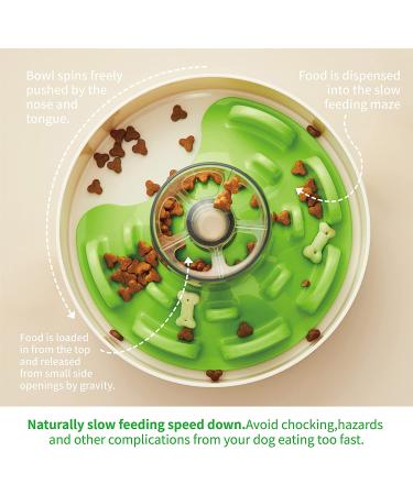 PetDreamHouse Spin Collection Interactive Slow Feeder Bowl for Dogs - Green Advanced Level - Buy Online on GoSupps.com