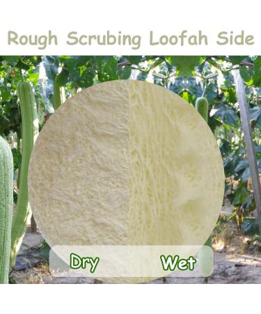 15 Pack Mini Exfoliating Loofah Face Pads - Eco-Friendly Shower Scrubber & Makeup Cleanser - Buy Online on GoSupps.com
