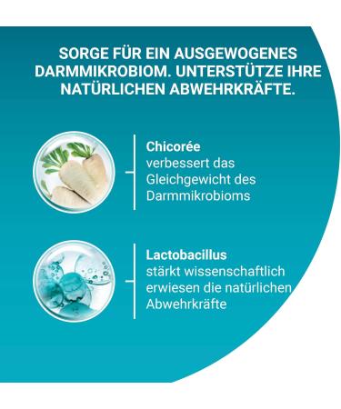 PURINA ONE BIFENSIS Adult Dry Cat Food - Rich in Chicken (5.7kg) | International Shipping Available - Buy Online on GoSupps.com