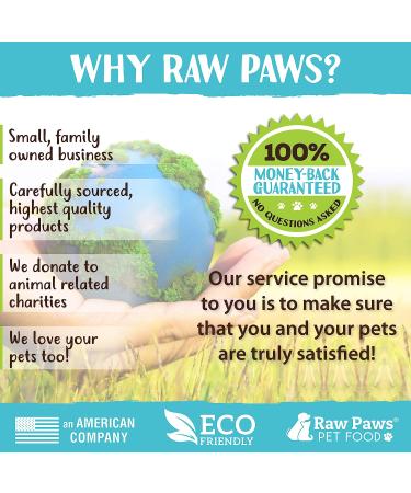 Raw Paws Pet Natural Dog & Cat Paw Balm 4 oz - Paw Soother, Butter, Cream & Wax for Moisturized Paws - Buy Online on GoSupps.com