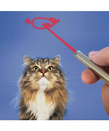 murr Light Pen for Cats | Interactive Red Pointer Toy | Chase Toy for All Cat Breeds - Buy Online on GoSupps.com
