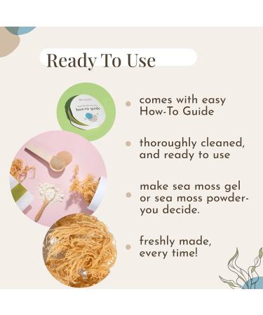 Mecantu Raw Sea Moss (Irish Sea Moss) - Ethically Sourced & Eco-Friendly | Create Healthy Vegan Food Drinks Sea Moss Gel and Sea Moss Powder | 2+ Months Supply (100g) main - Buy Online on GoSupps.com