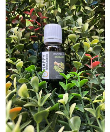 Cardamom Essential Oil -100% Pure and Natural Oil for Natural for Aromatherapy Massage & Skin Care Oil (100ml)