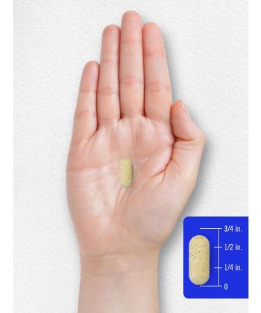 Carlyle Vitamin B Complex for Women and Men | 250 Caplets | with Vitamin C | Vegetarian Non-GMO and Gluten Free Supplement 250 Count (Pack of 1) - Buy Online on GoSupps.com