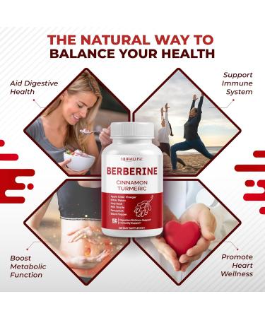 Berberine 14-in-1 Supplement with Ceylon Cinnamon Apple Cider Vinegar Turmeric Bitter Melon Holy Basil Milk Thistle Fenugreek Gymnema Banaba - Made in The USA 150 count (pack of 1) - Buy Online on GoSupps.com