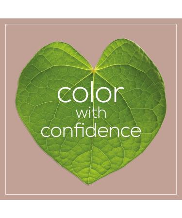 Naturtint Ash Blonde (8a) 5.98 oz - Buy Online on GoSupps.com