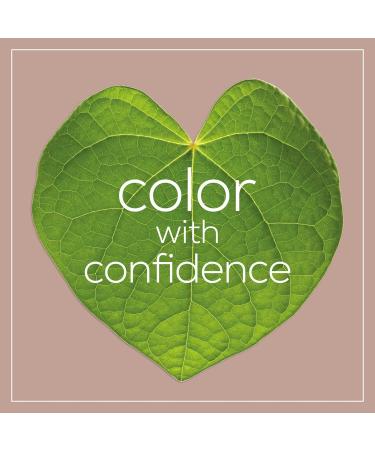 Naturtint 6N Dark Blonde Permanent Hair Color - Ammonia Free, Vegan, Cruelty Free, Long Lasting Results, Up to 100% Gray Coverage - Buy Online on GoSupps.com